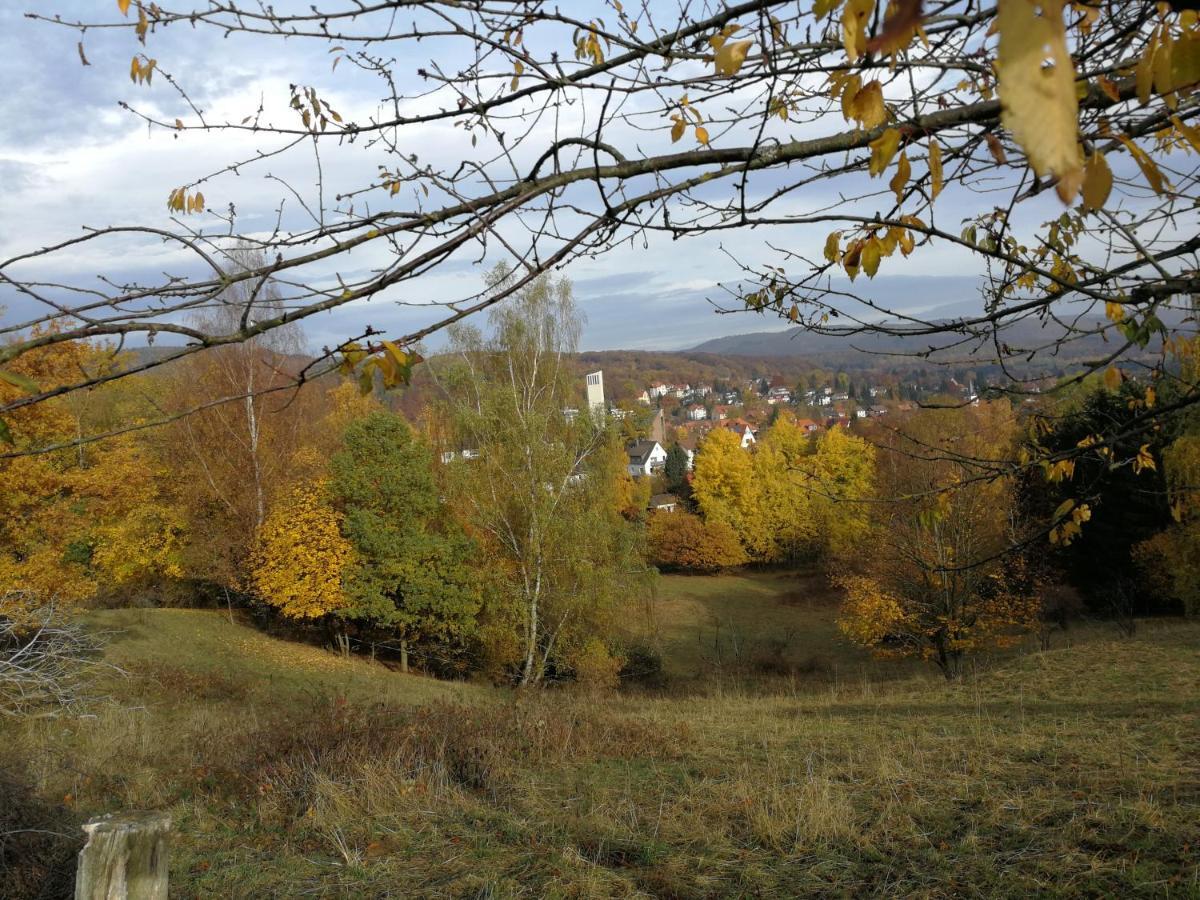 Апартаменти Ravensbergblick - Harzlich Willkommen In Бад-Закса Екстер'єр фото